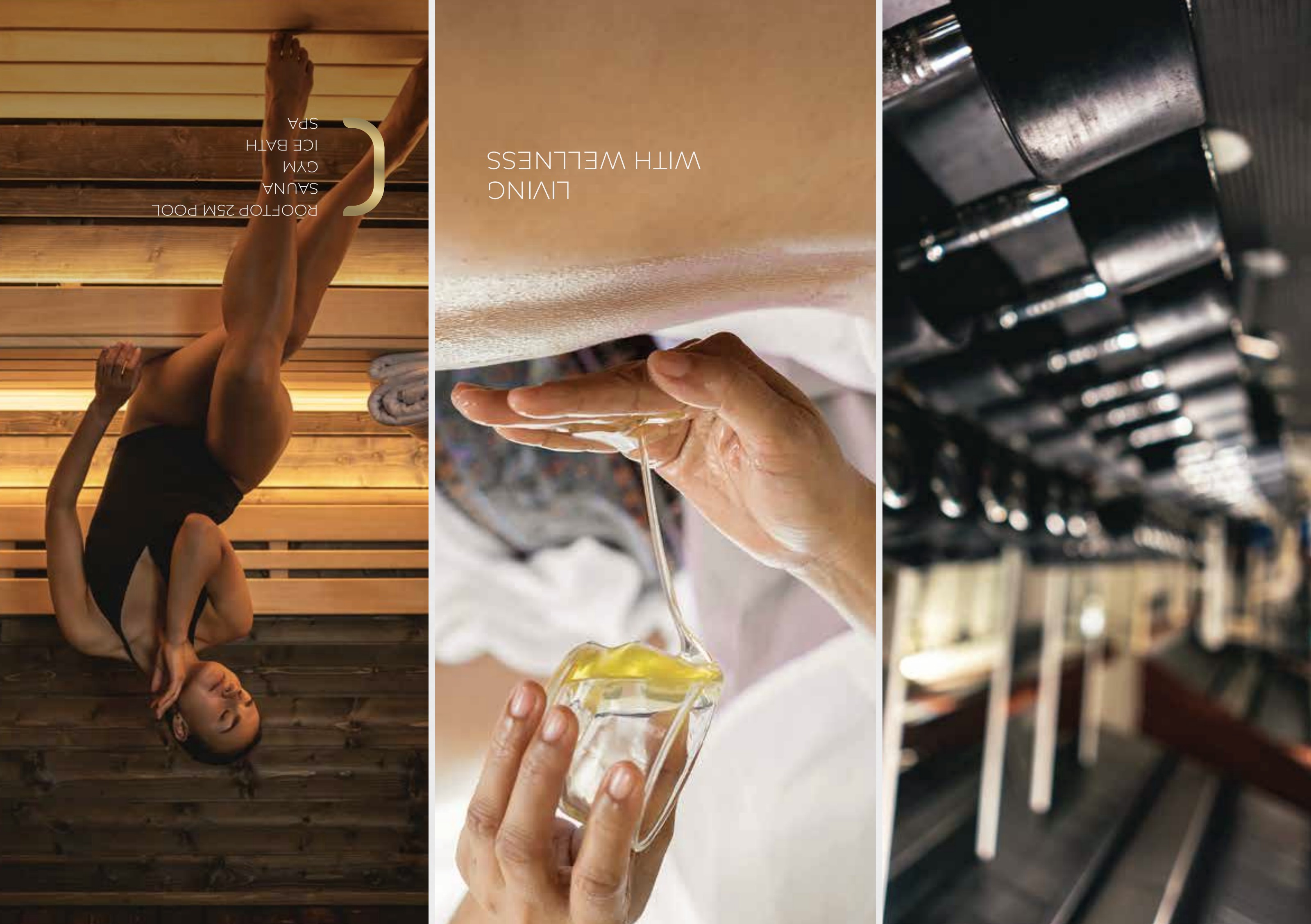 Wellness amenities — spa, sauna and gym